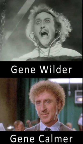 Gene Wilder copy