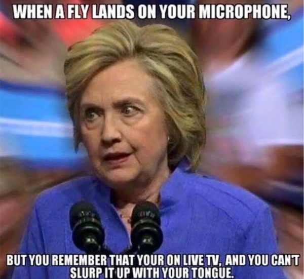 Hillary Reptile copy