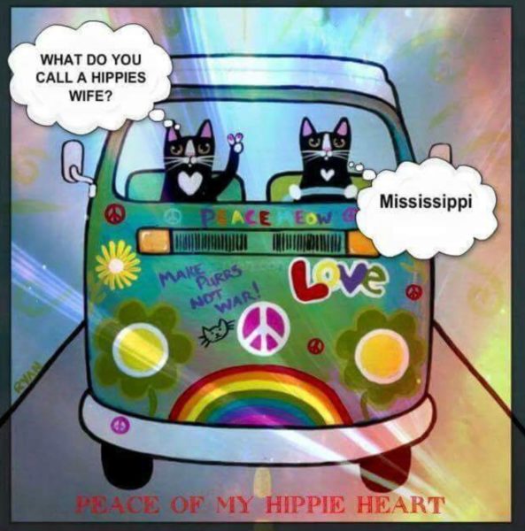 Mrs Hippie copy