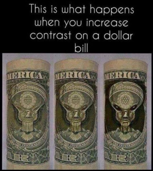 dollar-bill