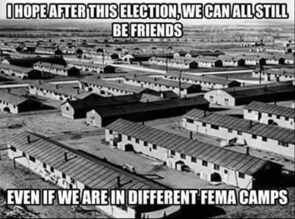 fema-camps-copy