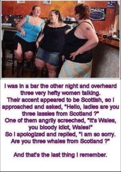 whales