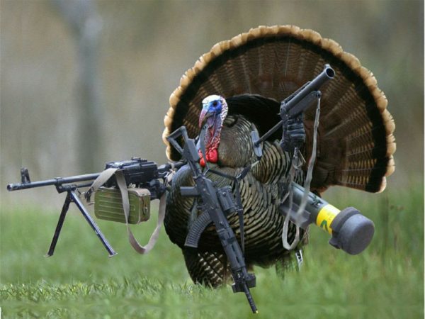 armed-turkey
