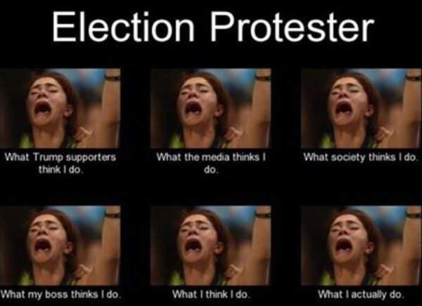 election-protest