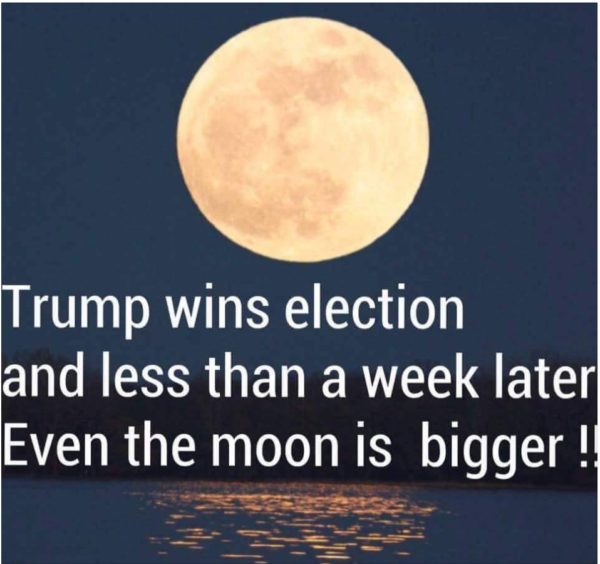 trump-moon