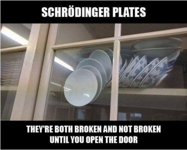 scvhroedinger-plates