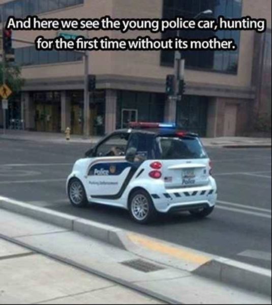 smart-cop-car
