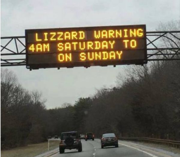 Lizzard Warning