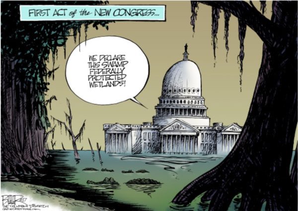 swamp