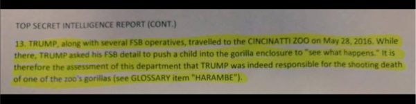 Trump Harambe