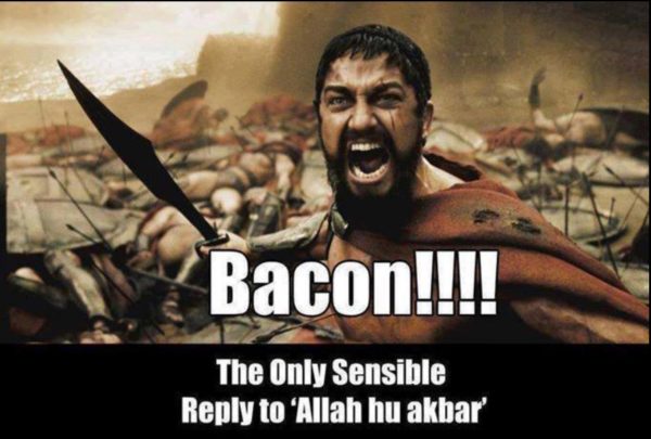Bacon Response