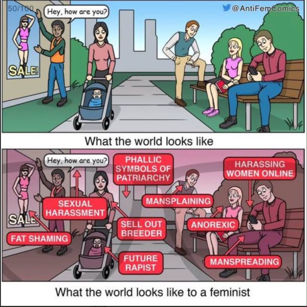 Feminist Worldview