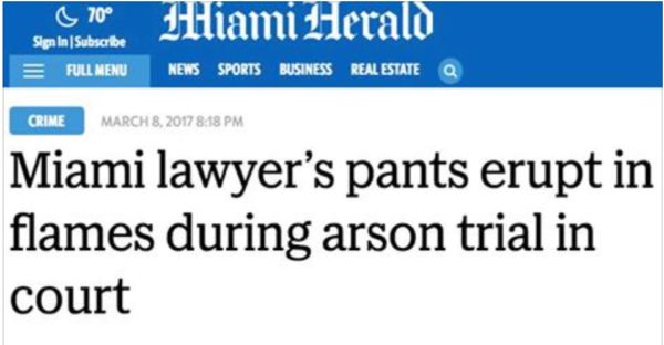 MIAMI PANTS
