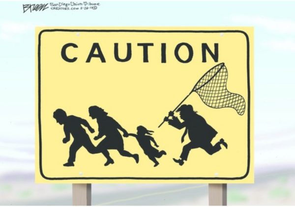 Trump Catches