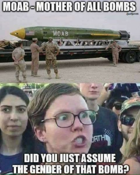 MOAb Gender