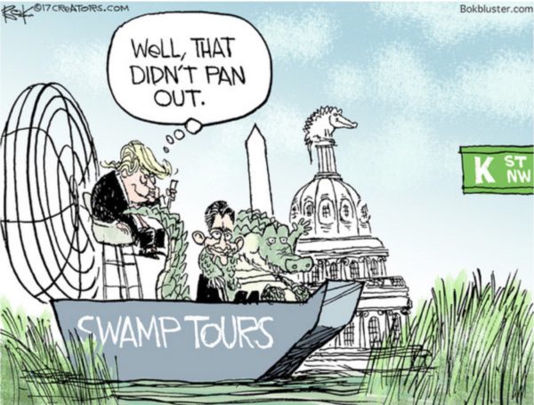 Swamp Tours
